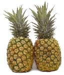 Fresh Tropical Gold Hawaiian Pineapples (2 ea)