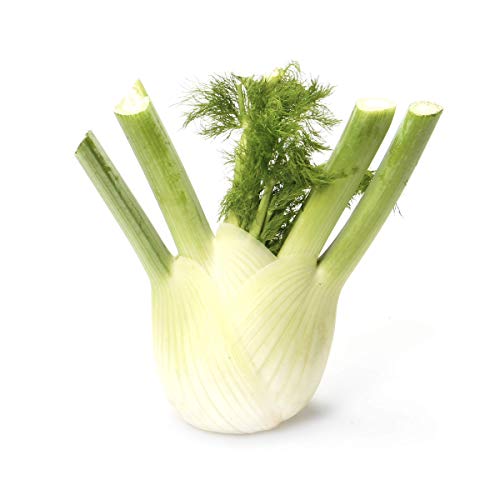 Organic Fennel, 1 Each