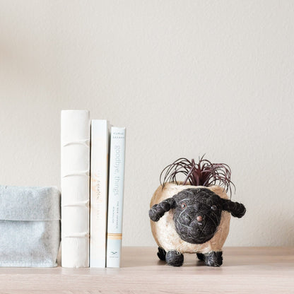 Baby Sheep Planter - Coco Coir Pots | LIKHÂ