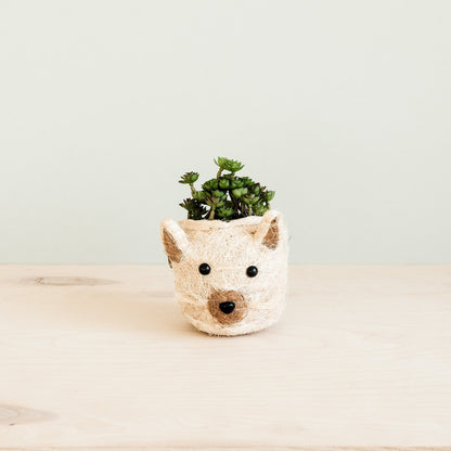 Cat Succulent Planter - Animal Head Planters | LIKHÂ