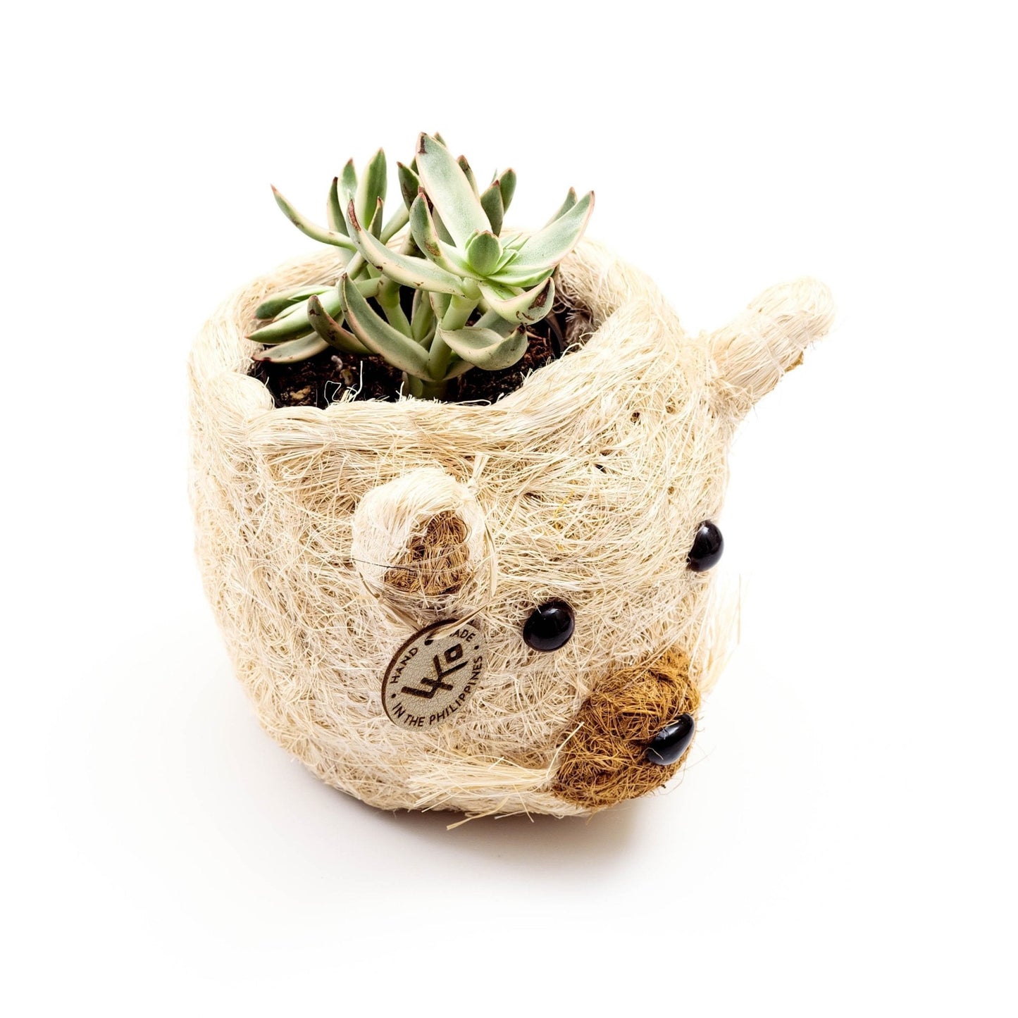 Cat Succulent Planter - Animal Head Planters | LIKHÂ