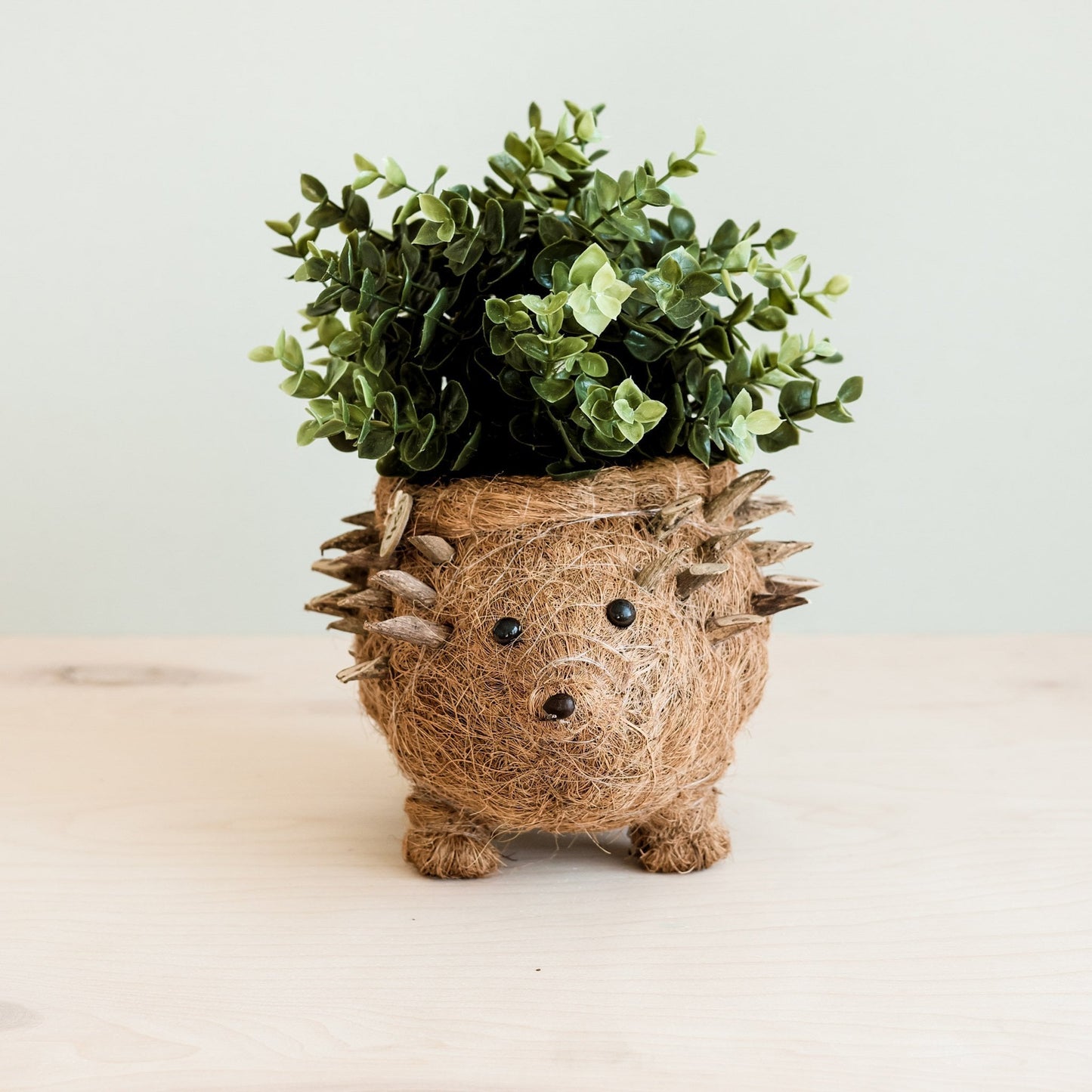 Hedgehog Planter - Coco Planter| LIKHÂ