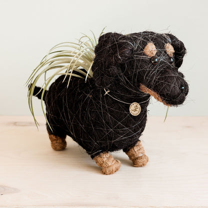 Dachshund Dog Planter - Coco Planter | LIKHÂ