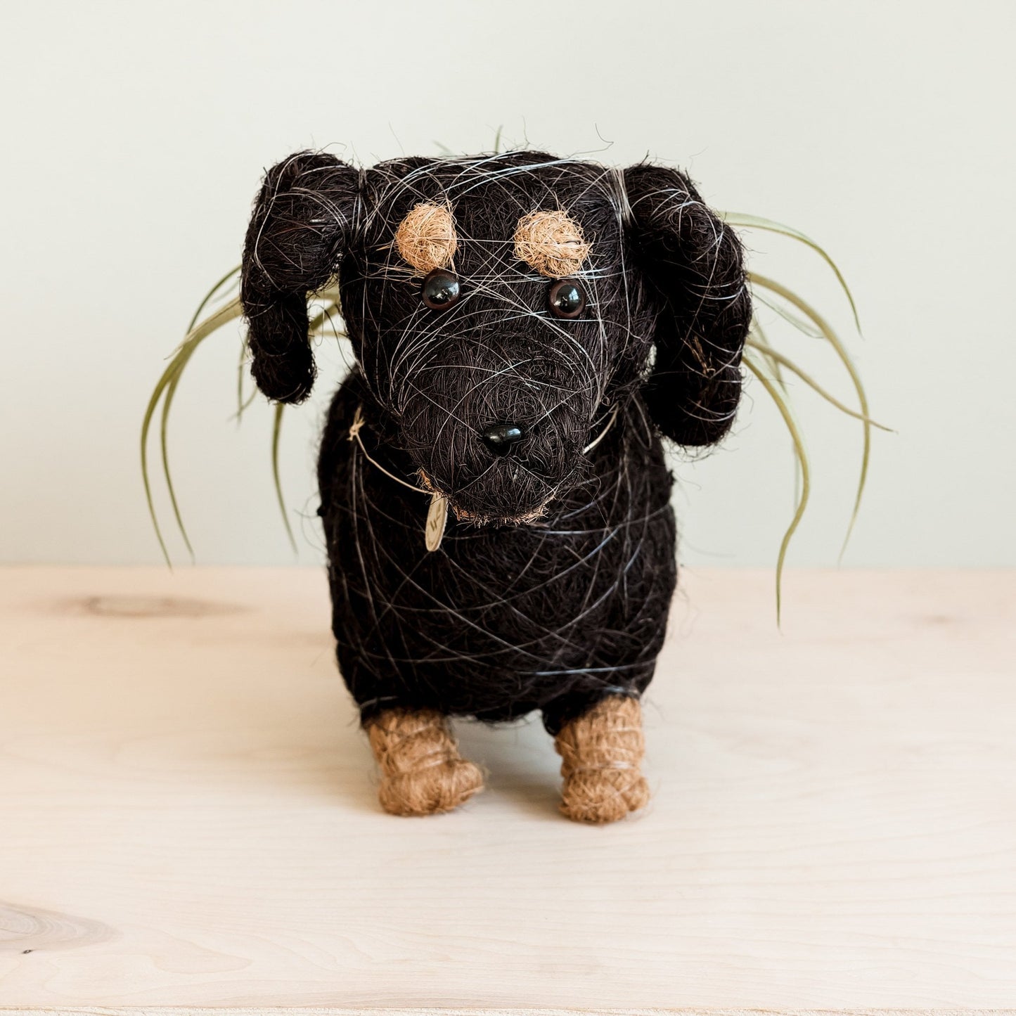 Dachshund Dog Planter - Coco Planter | LIKHÂ