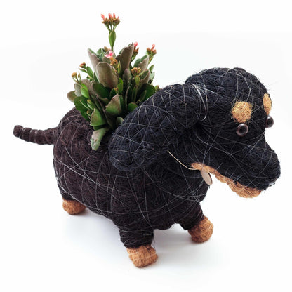 Dachshund Dog Planter - Coco Planter | LIKHÂ