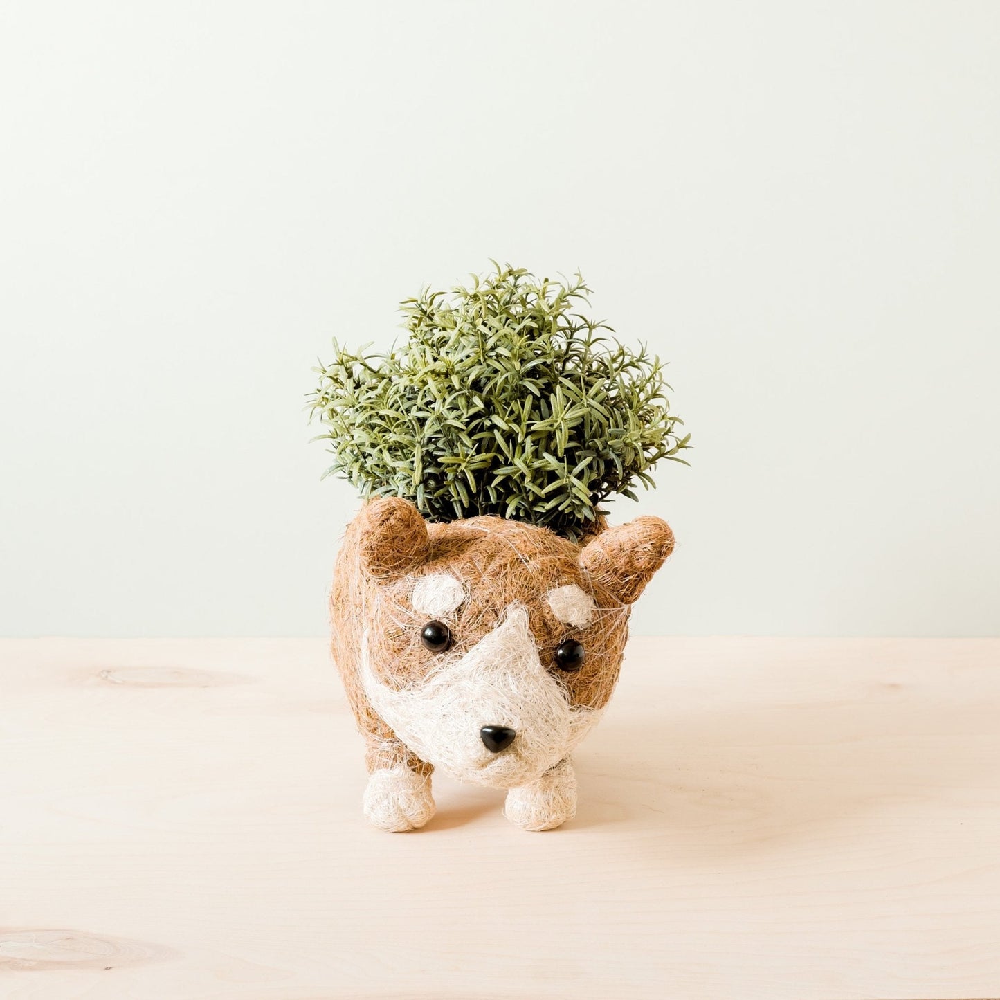 Corgi Succulent Pot - Handmade Planters | LIKHA