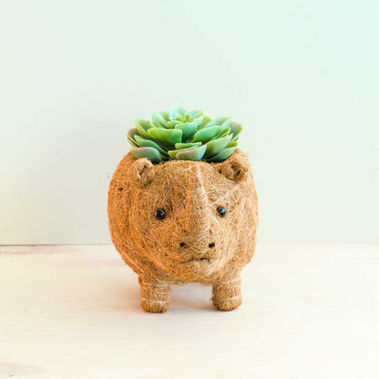 Rhino Planter - Coco Coir Pot | LIKHA