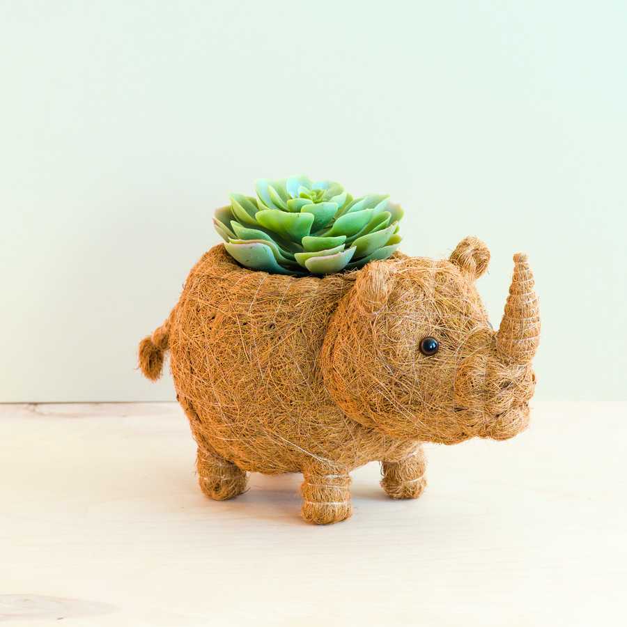 Rhino Planter - Coco Coir Pot | LIKHA