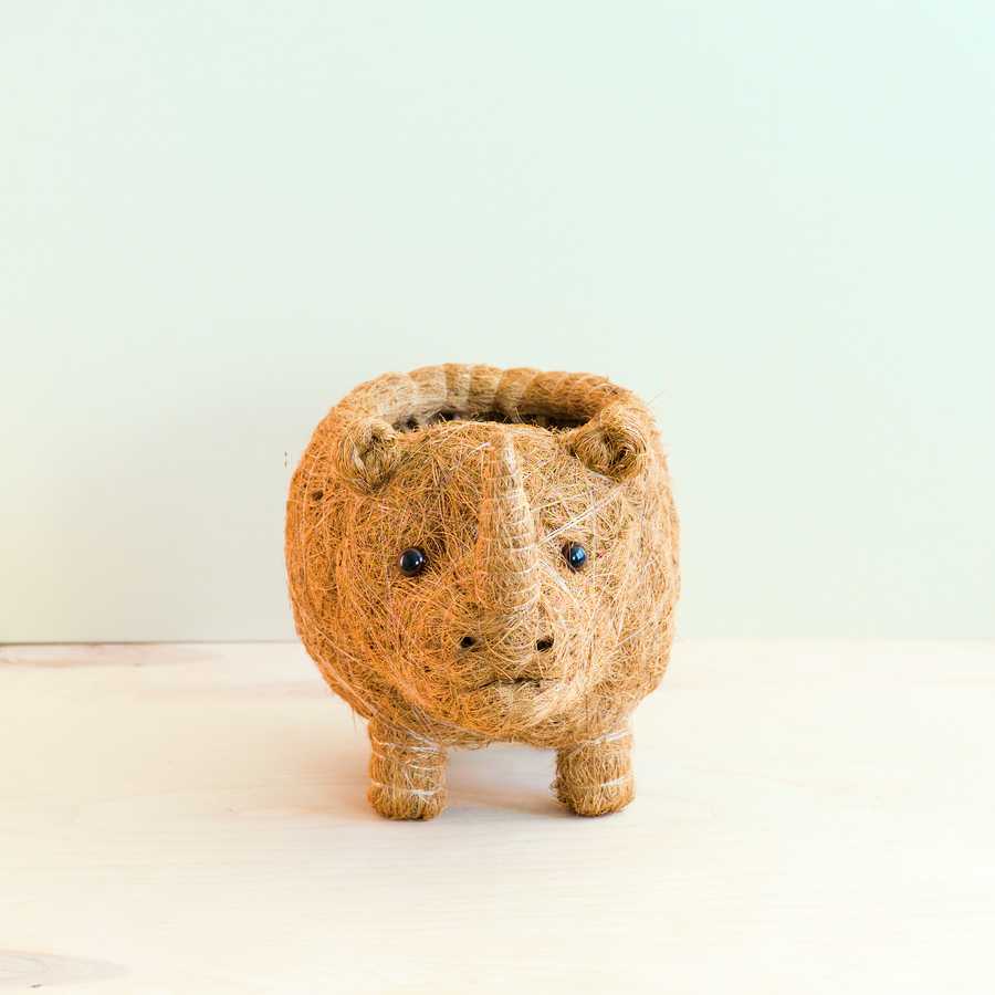 Rhino Planter - Coco Coir Pot | LIKHA