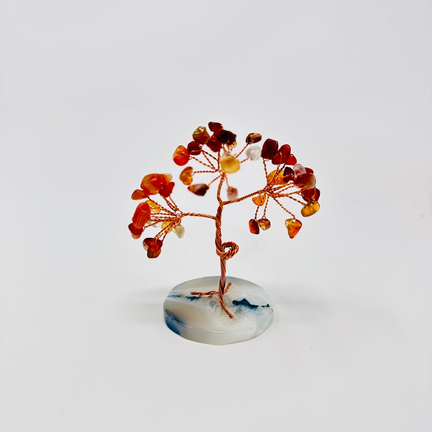 red carnelian tree