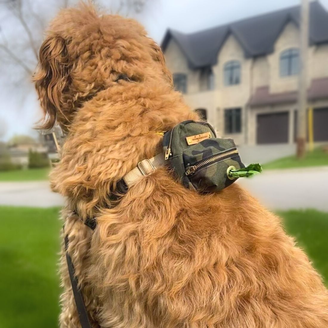 Camo Backpack