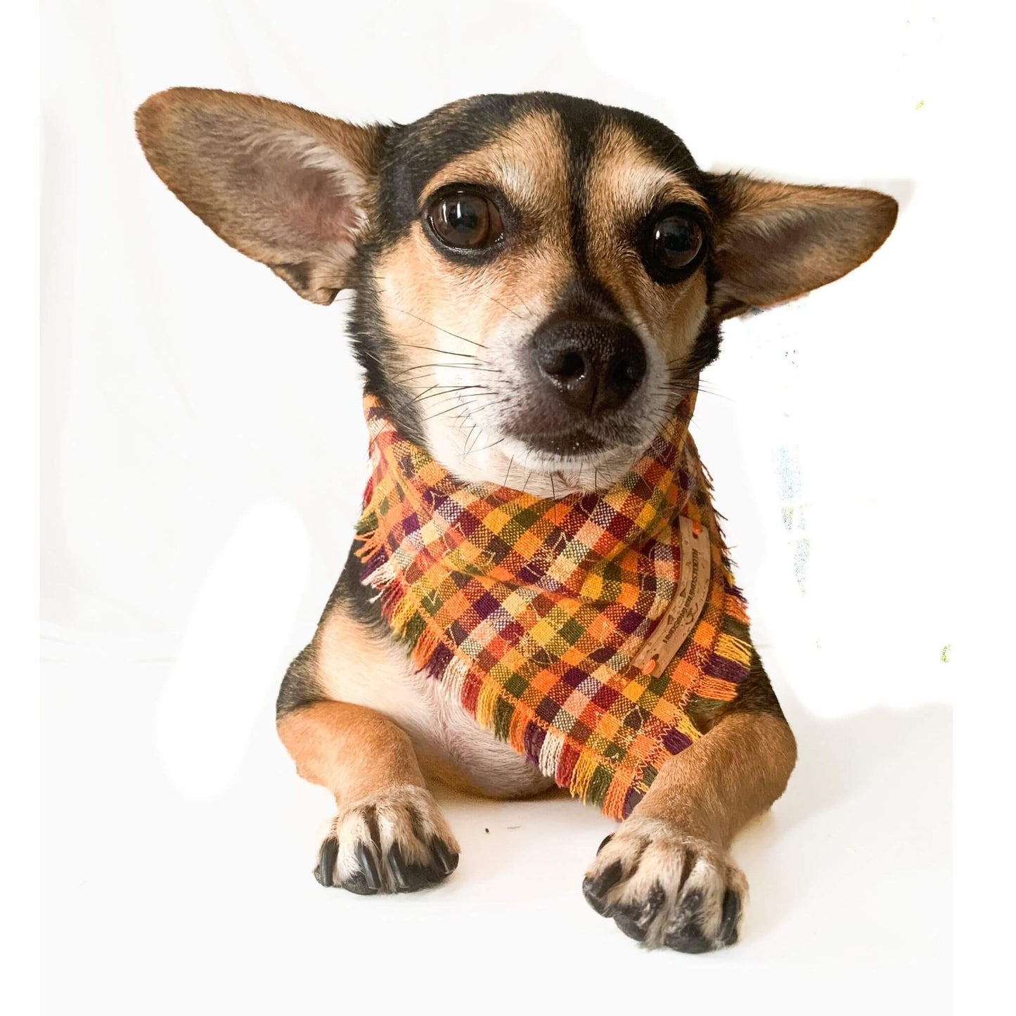 Golden Leaf Plaid Bandana