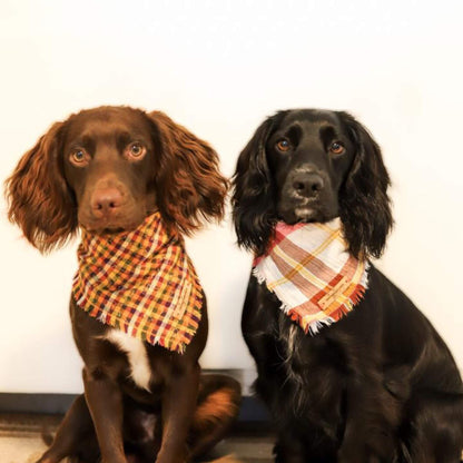 Golden Leaf Plaid Bandana